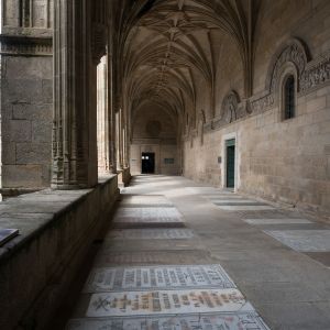 Galería del claustro con bóveda de crucería gótica, losas sepulcrales de canónigos en el suelo y friso escultórico alusivo a la resurrección.