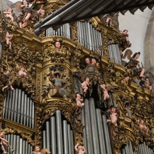 etalle de la talla barroca dorada y ángeles músicos en el mueble del órgano de la Catedral de Santiago de Compostela.